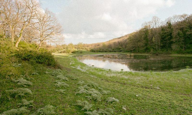 Calitri Il Melograno Bed & Breakfast エクステリア 写真
