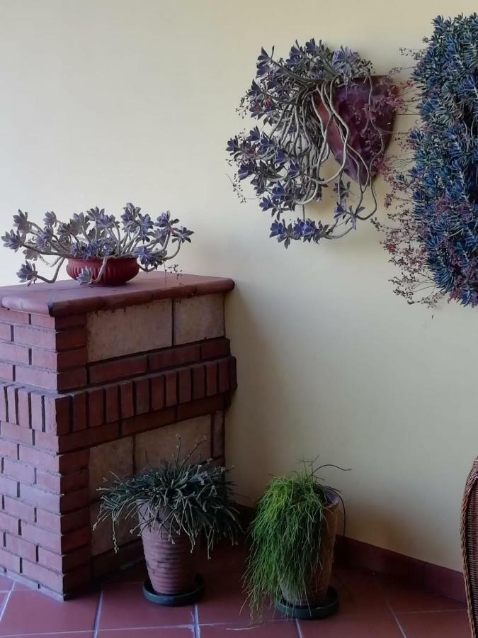 Calitri Il Melograno Bed & Breakfast エクステリア 写真